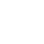 BI & Decision Intelligence