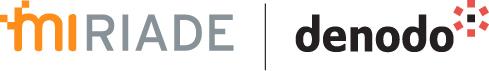 Virtualizzazione dei Dati. Denodo Data Integration - Miriade