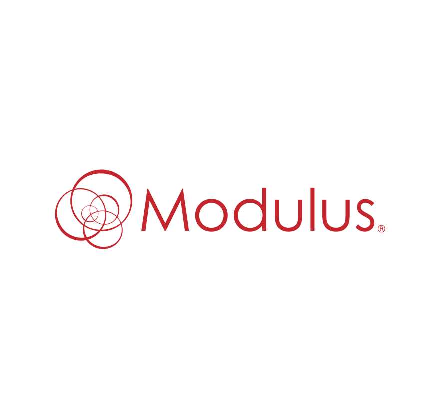 modulus.ai